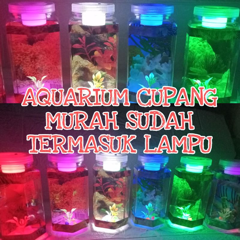 Aquarium Ikan Cupang Mini Akuarium Cupang Mini Kecil Unik Lampu LED Lucu Bentuk Persegi Enam Murah