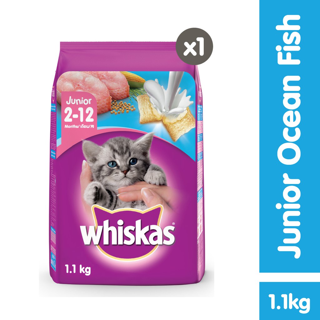 WHISKAS® Makanan Kucing Kering Junior 1.1kg-Ocean Fish