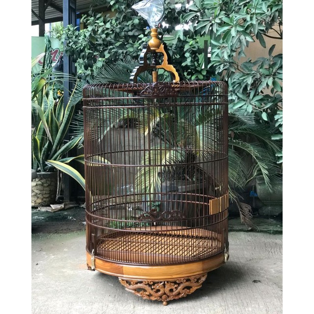 sangkar burung murai, sangkar burung murai ukir, sangkar burung murai jati