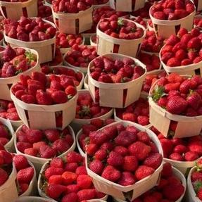 

kode2y2Xm--Strawberries Red Fresh