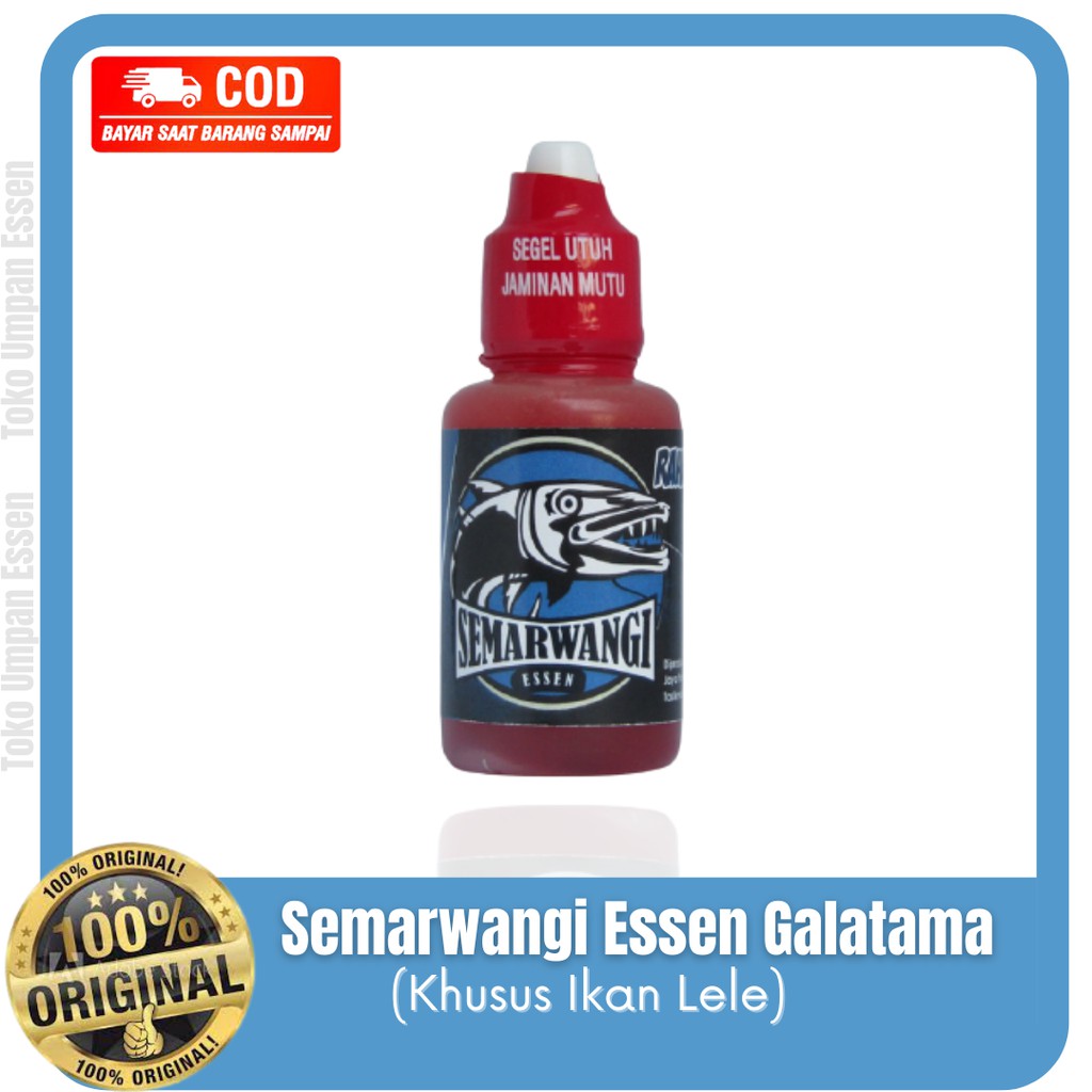Semarwangi Essen Ikan Lele Galatama - Essen Lele Terampuh - Essen Lele - Essen Galatama Lele Terjitu