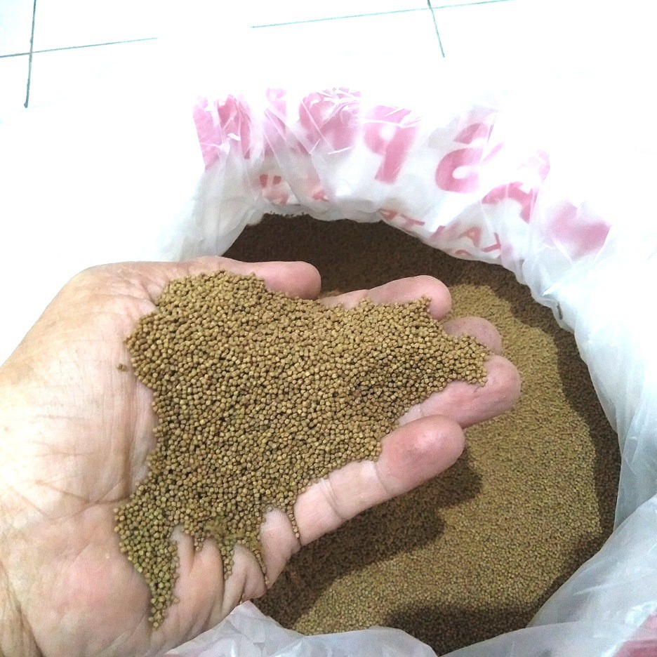 pelet TP 80 Tunas Prima TP80 pakan bibit lele gurame nila gabus mas isi 250/500gr/1kg