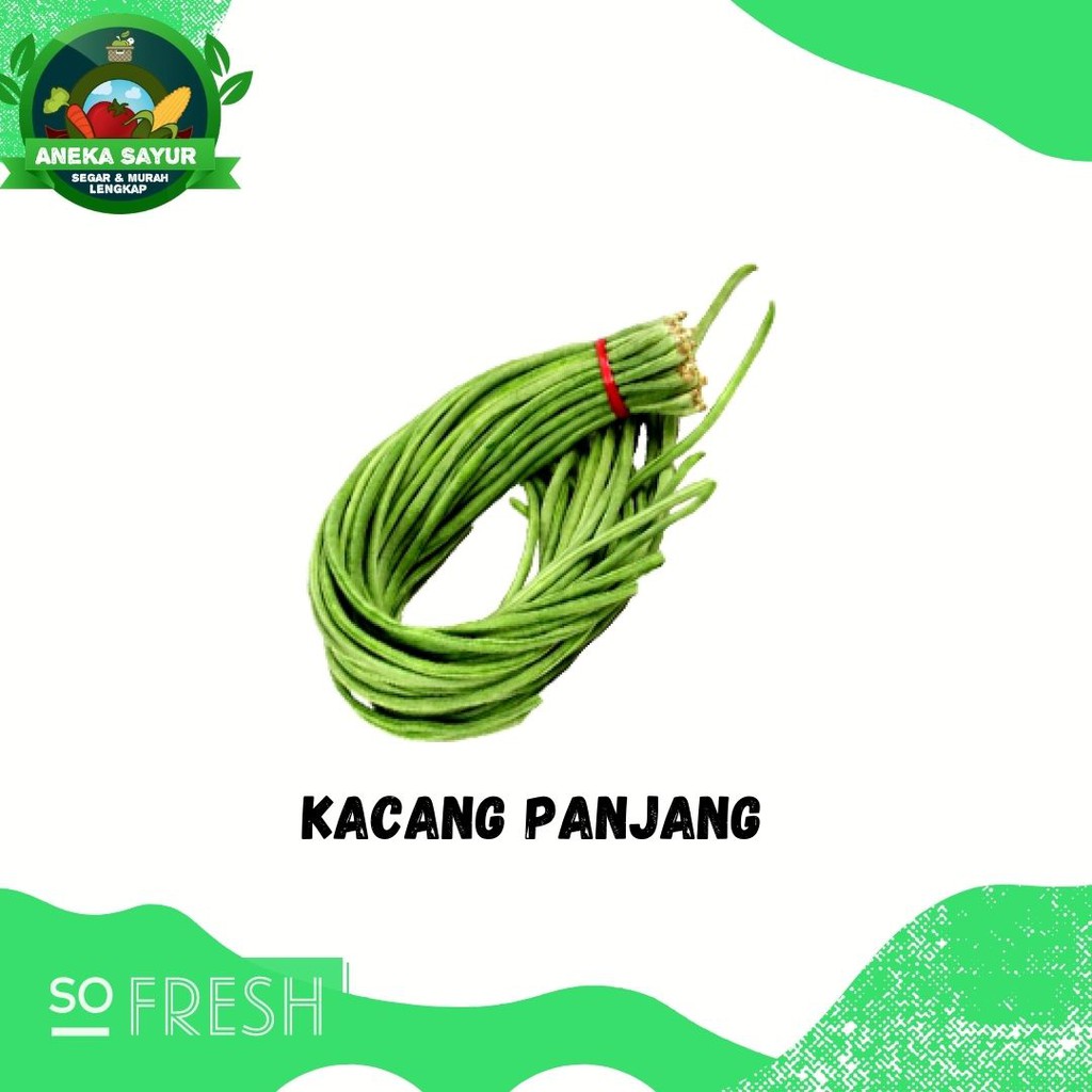 

Kacang Panjang