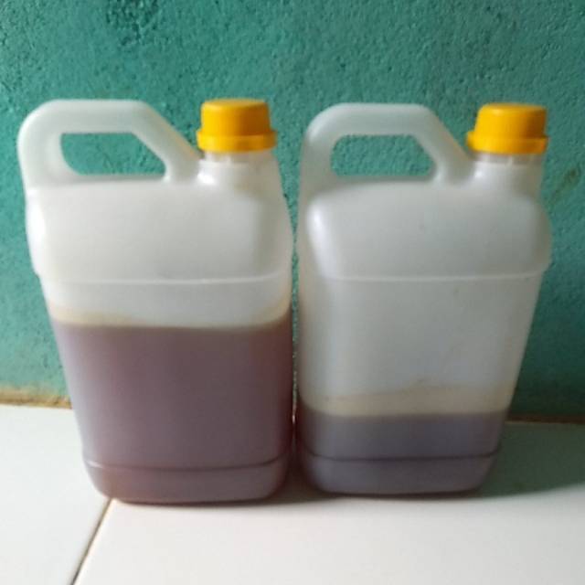 

Madu HUTAN ASLI