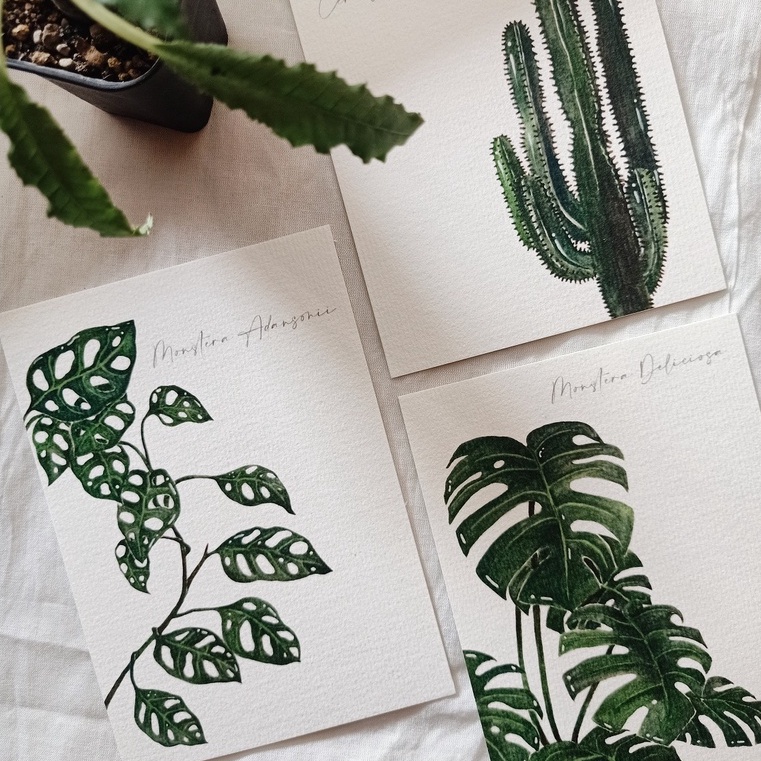 

[Artopia] Postcard by IMAGINEARTWORK14 / Kartu Pos Ilustrasi Tanaman Koleksi Rumah Houseplant Monstera