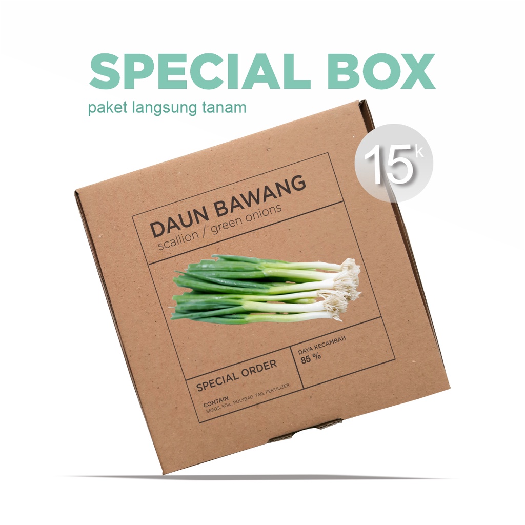 Paket Langsung Tanam - Gardening Kit - SPECIAL BOX - Benih Daun Bawang / Scallion Green Onion Seeds