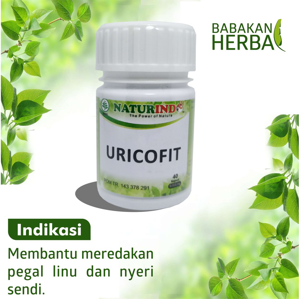 

Naturindo URICOFIT Babakan Herbal Obat Herbal meredakan pegal linu dan nyeri sendi