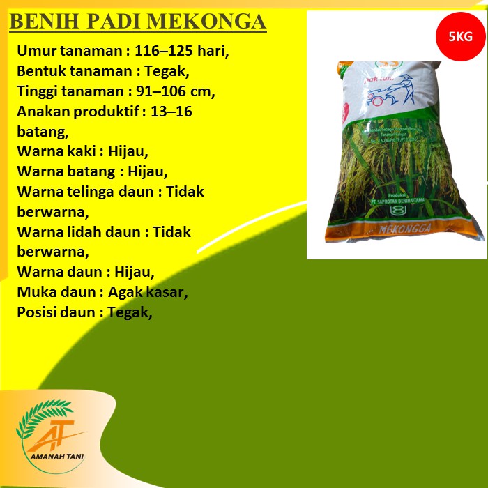 BENIH PADI MEKONGGA