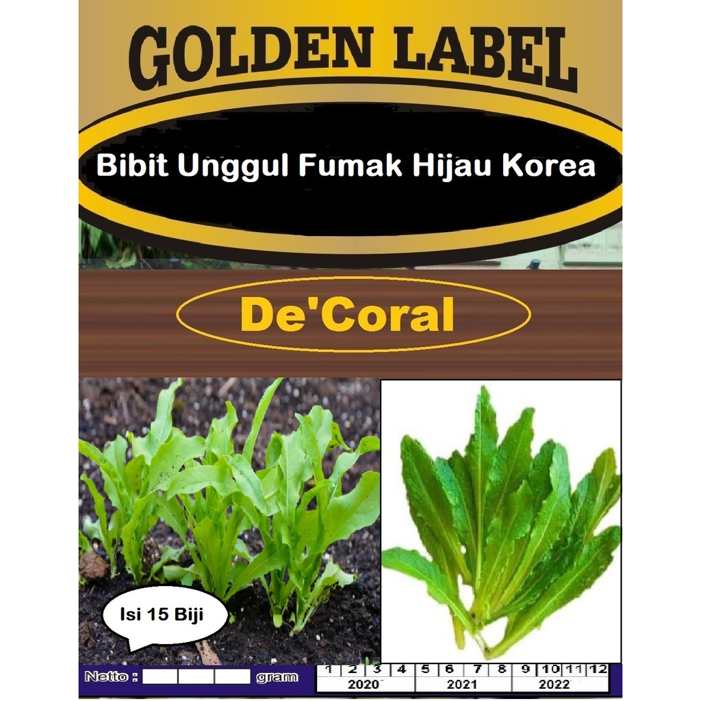 Bibit Unggul Fumak Hijau Korea | Sword Lettuce | Premium Fumak