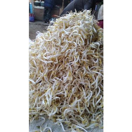 

sayurantoge