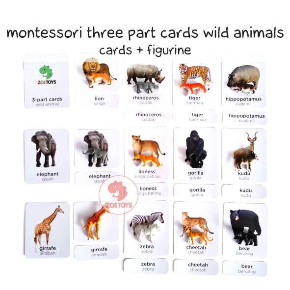 Zoetoys Montessori Three Part Cards Wild Ocean Animal Bug Dinosaur | LANGUAGE Nomenclature | Terminology Cards Kartu Terminologi | Flashcards |Mainan Edukasi Anak