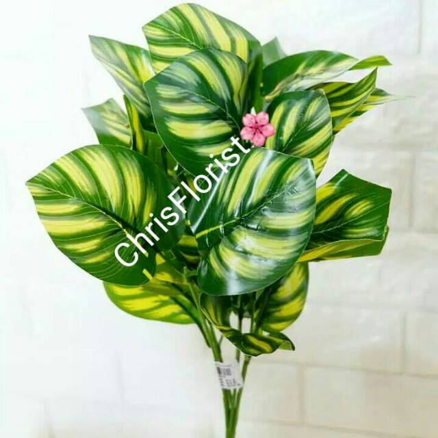 Daun Zebra Plastik Palsu Buatan Plastic Sintetis Dekorasi Hiasan Artificial 686