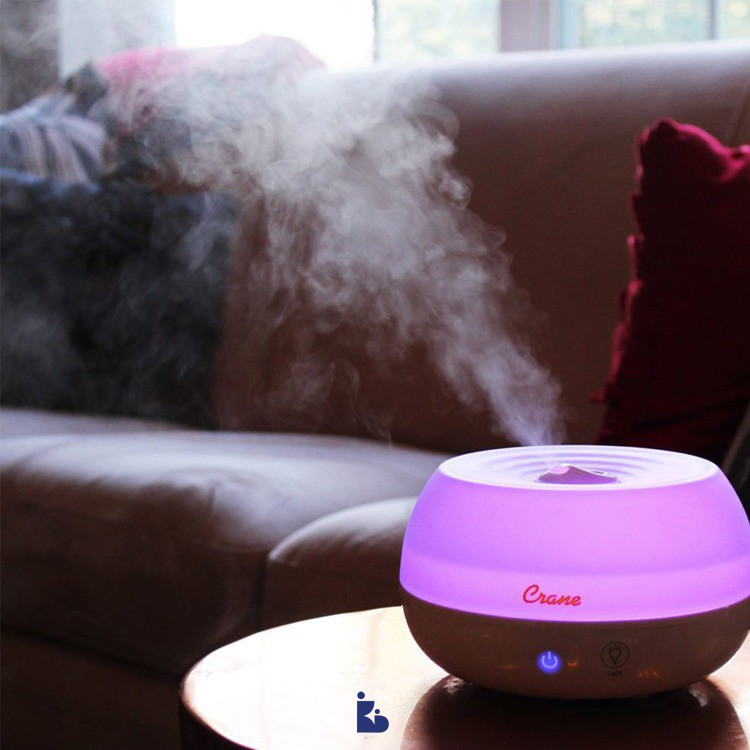 Crane Humidifier With Aroma Diffuser