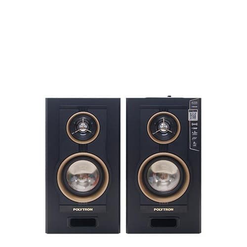 Polytron Pas 22 Ga - Speaker Aktif Bluetooth Usb Radio Karaoke Pas22Ga #98