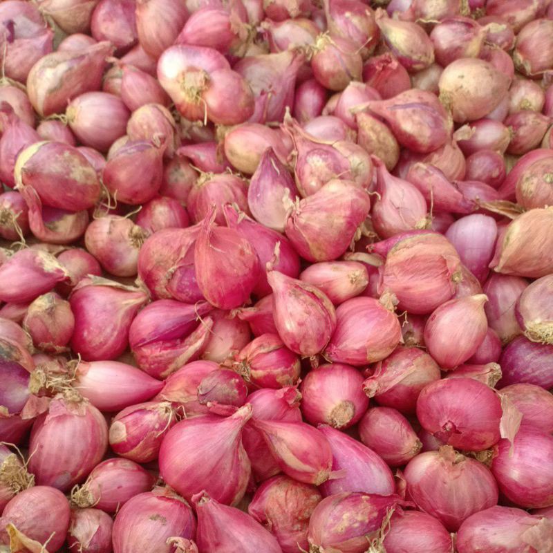

Bawang Merah 250gr