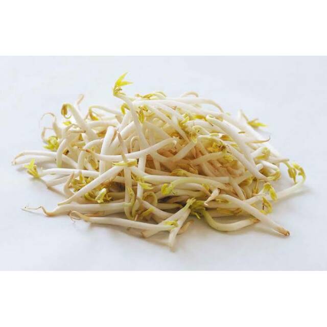

TAUGE TUNAS PANJANG 250 GR