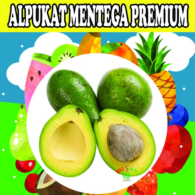 

BUAH ALPUKAT MENTEGA PREMIUM BUAH ALPUKAT SEGAR 1Kg