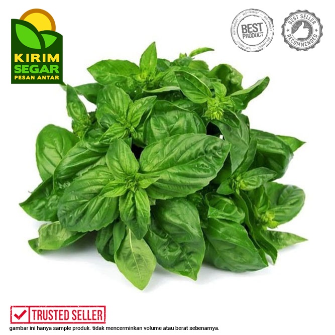 

Basil / Daun Basil Segar / Basil Fresh/Pack