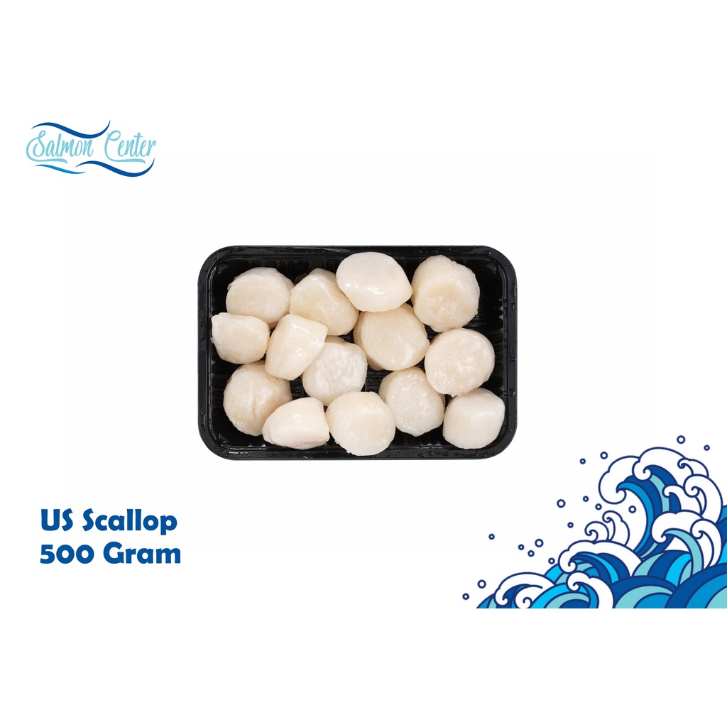 

US Sea Scallop IQF 500 gram