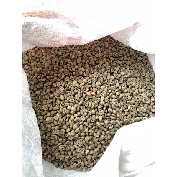 

Biji Mentah Robusta Temanggung Grade Premium dan Komersil 1kg