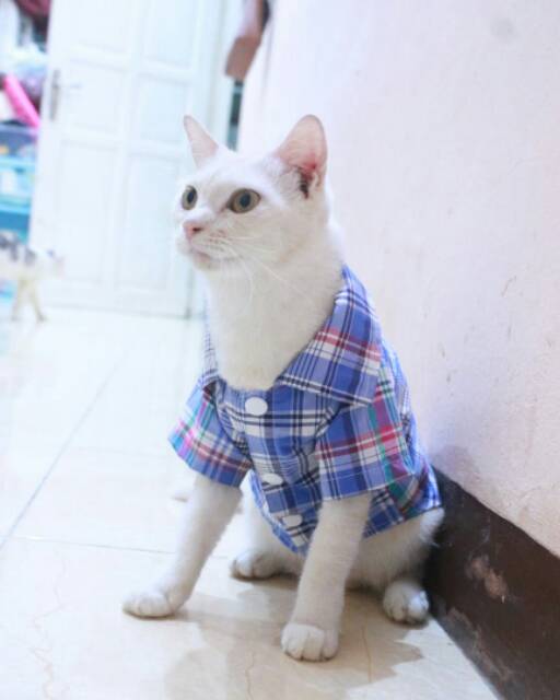 Kemeja kotak-kotak biru besar lucu untuk kucing dan anjing size S M L XL