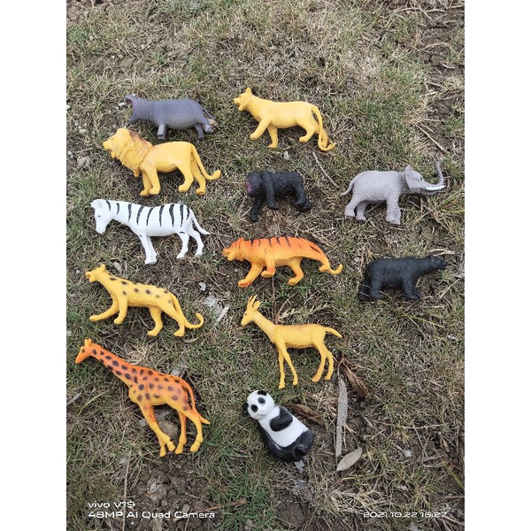 Mainan Anak Hewan Buas Karet | Hewan Miniatur | Mainan Hewan Karet