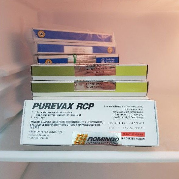 Пуревакс вакцина для кошек отзывы. Пуревакс RCP. Purevax RCP.