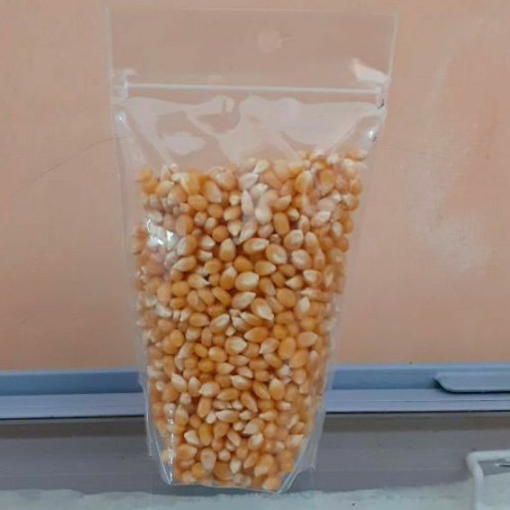 

Jagung Popcorn