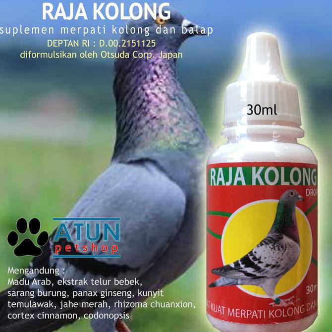 New Raja Kolong Vitamin Stamina Burung Merpati Kolong Jantan