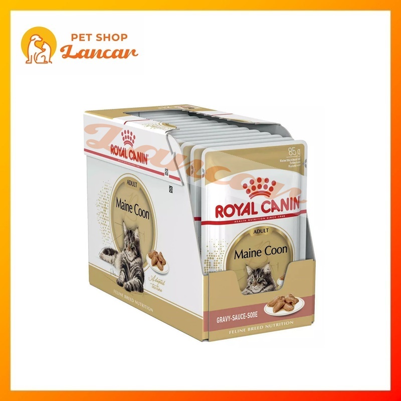 ROYAL CANIN MAINE COON WET FOOD 85 GRAM MAKANAN KUCING BASAH