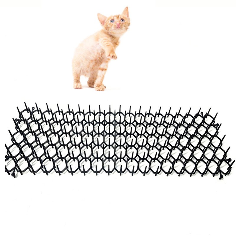 # Kaos T-Shirt Wanita Lengan Pendek Motif Print #Alat Pengusir Kucing Untuk Taman