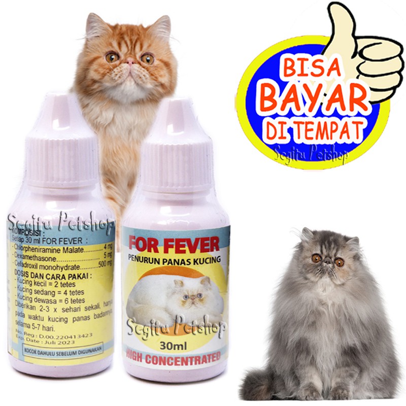 OBAT PENURUN PANAS KUCING SAKIT DEMAM STRESS KITTEN FOR FEVER