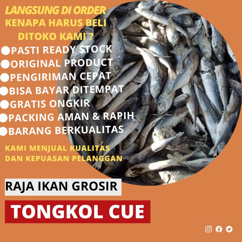 

TONGKOL REBUSAN/CUE 1 KILO BERKUALITAS