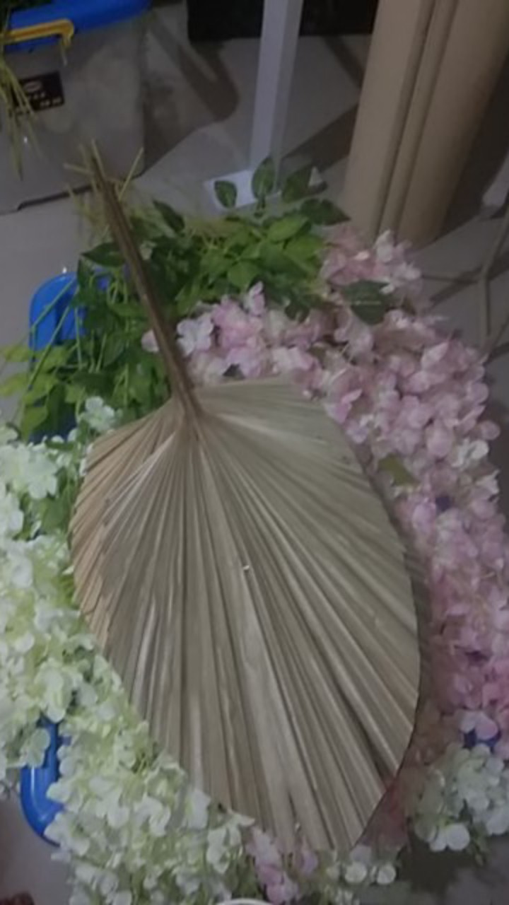 Daun Anggur Ijo - 506 (lusinan) Daun Plastik Daun Artificial Daunhias Daundekorasi Grosirdaunanggur