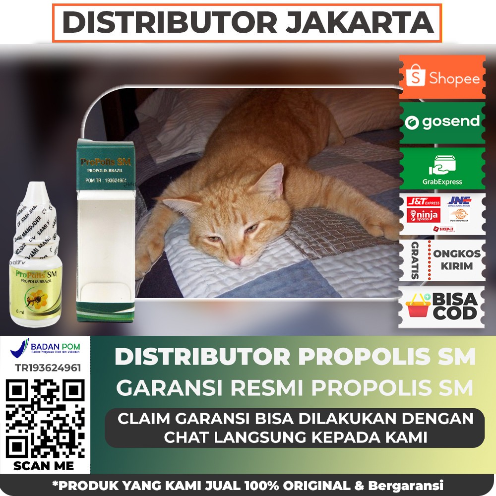 Vitamin obat tetes kucing herbal, kucing sakit, lemas, tidak nafsu makan - Propolis SM Asli Original