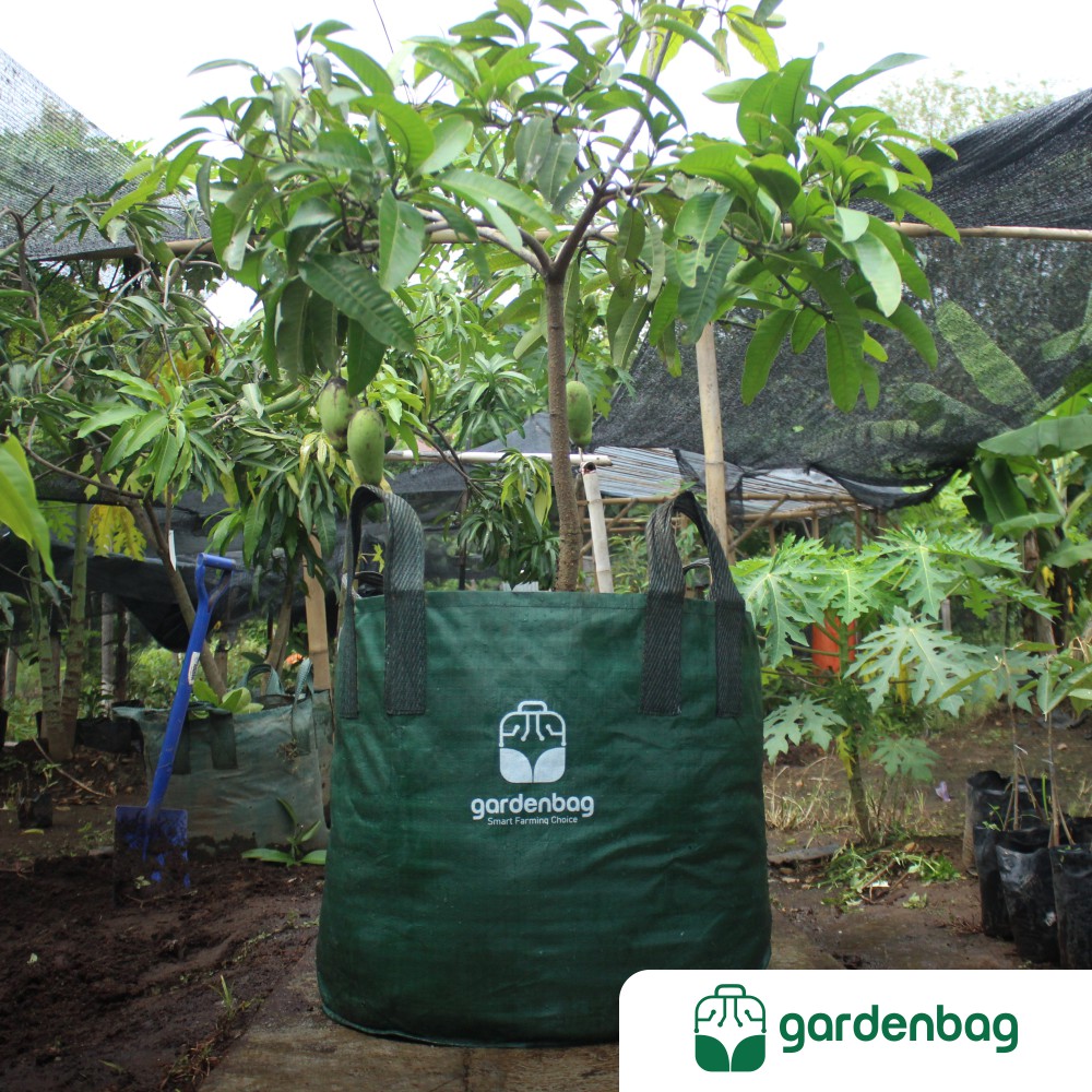Paket Grosir (isi 20) Planter Bag Buah Gardenbag Diameter 65 cm Volume 200 Liter Murah