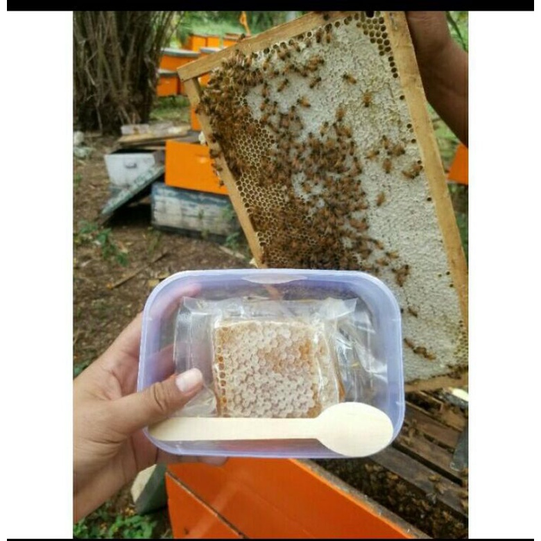 

MADU SARANG MULTIFLORA 250 gram