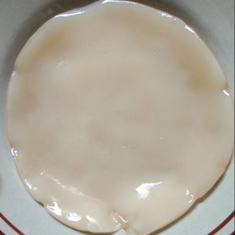 

SCOBY KOMBUCHA / JAMUR DIPO