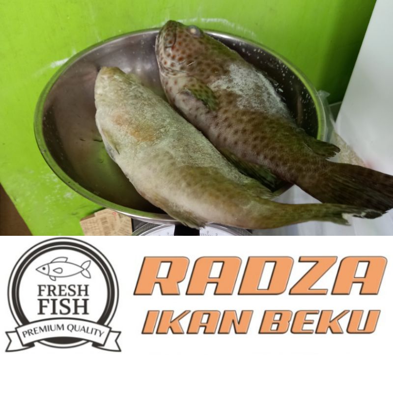 IKAN KERAPU BEKU 1KG
