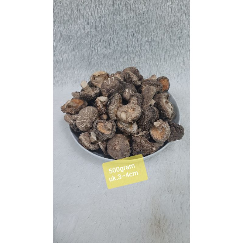 

Jamur Hioko tebal Shitake Kering uk.3-4cm 500gram