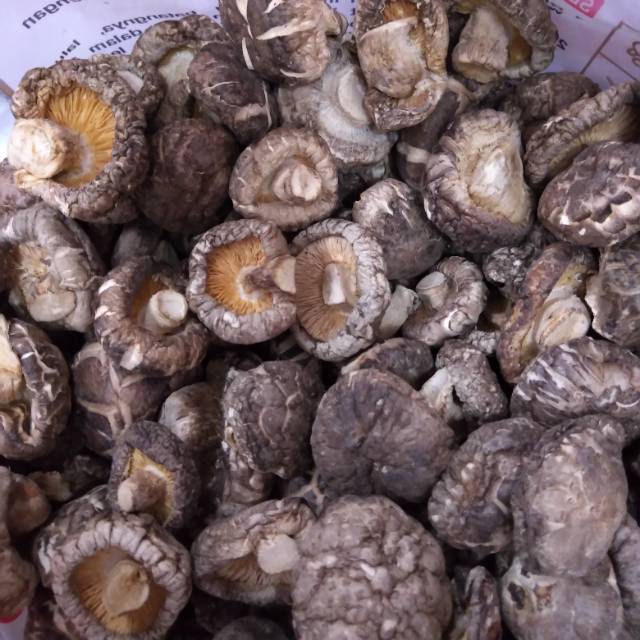 

Jamur Shitake kering 100 gr
