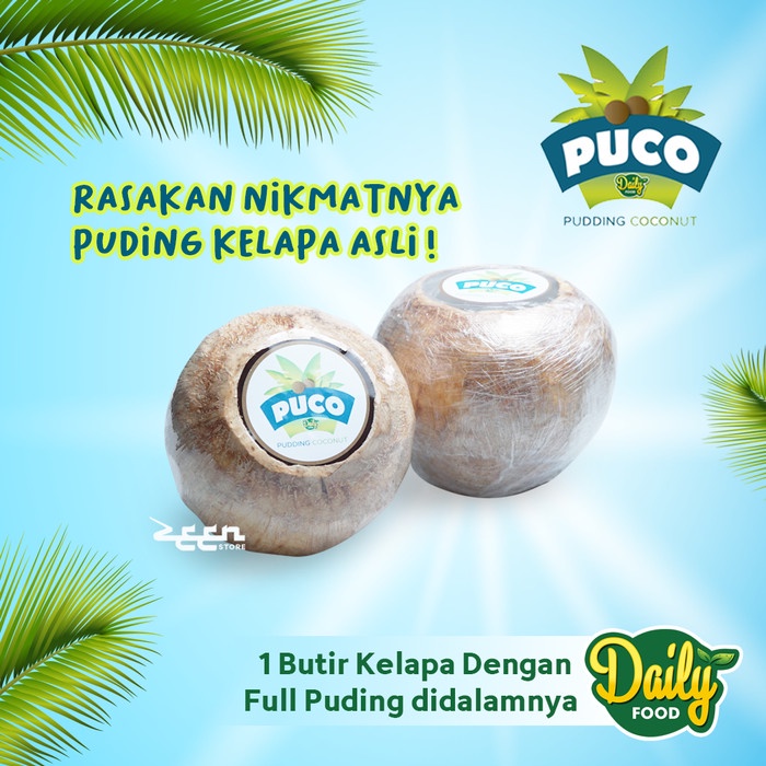 Puding Kelapa Muda Asli PUCO Ala Thailand PUDDING COCONUT by Daily Food