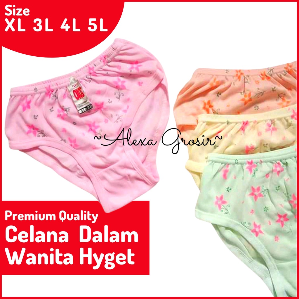 Undies Celana Dalam CD Wanita CD Dewasa Merk Riza Big Size Jumbo Size 5L