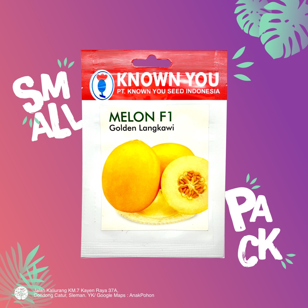 (1 PACK) Benih Melon F1 Golden Langkawi - Known You Seed KYS - 5 SEEDS