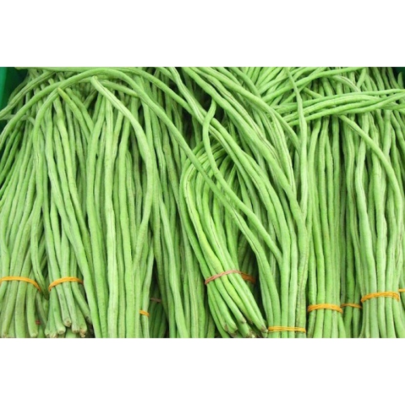 

Kacang Panjang Long Bean Segar 500 gram SAYUR ONLINE BANDUNG | FRESH DARI PASAR