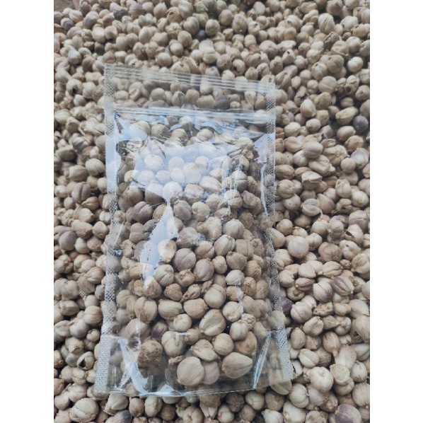 

50 gr kapulaga original tanpa pemutih / Rempah wedang uwuh / kapulaga jawa
