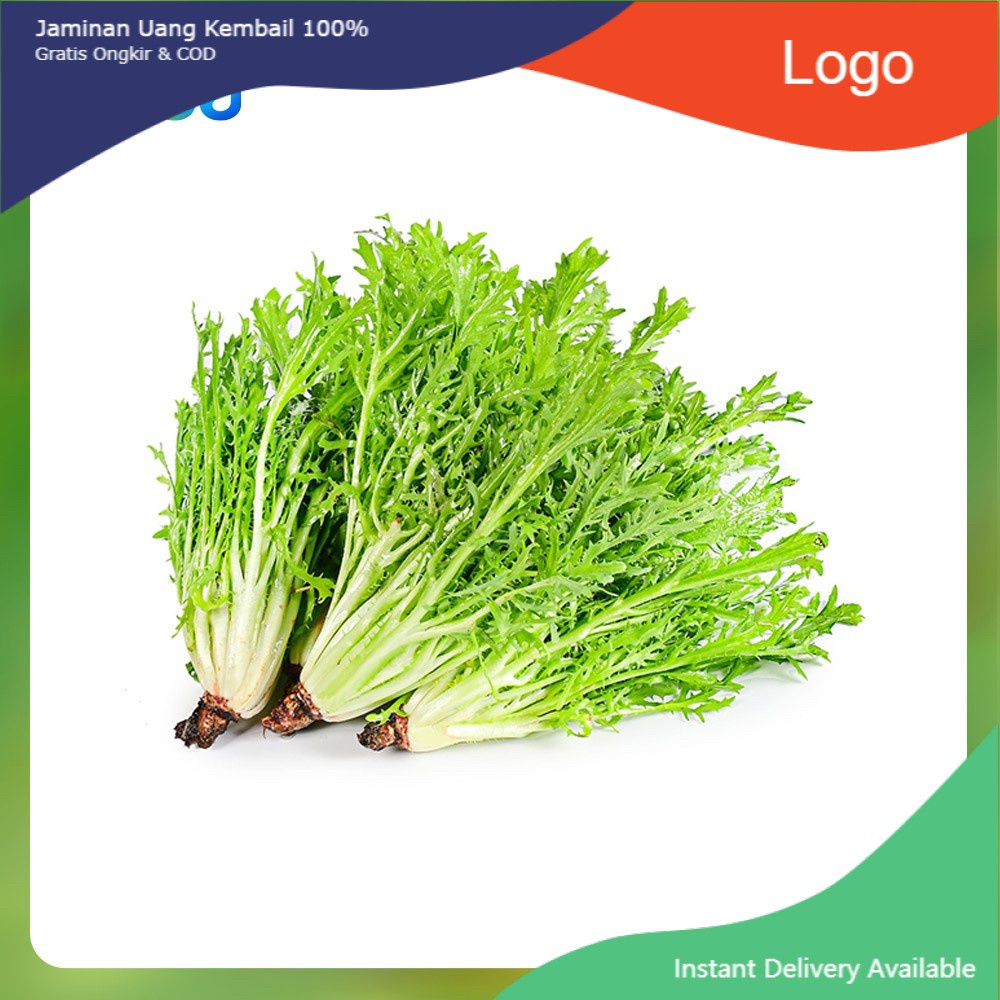 

Selada Endive Organik Sesa 200 G