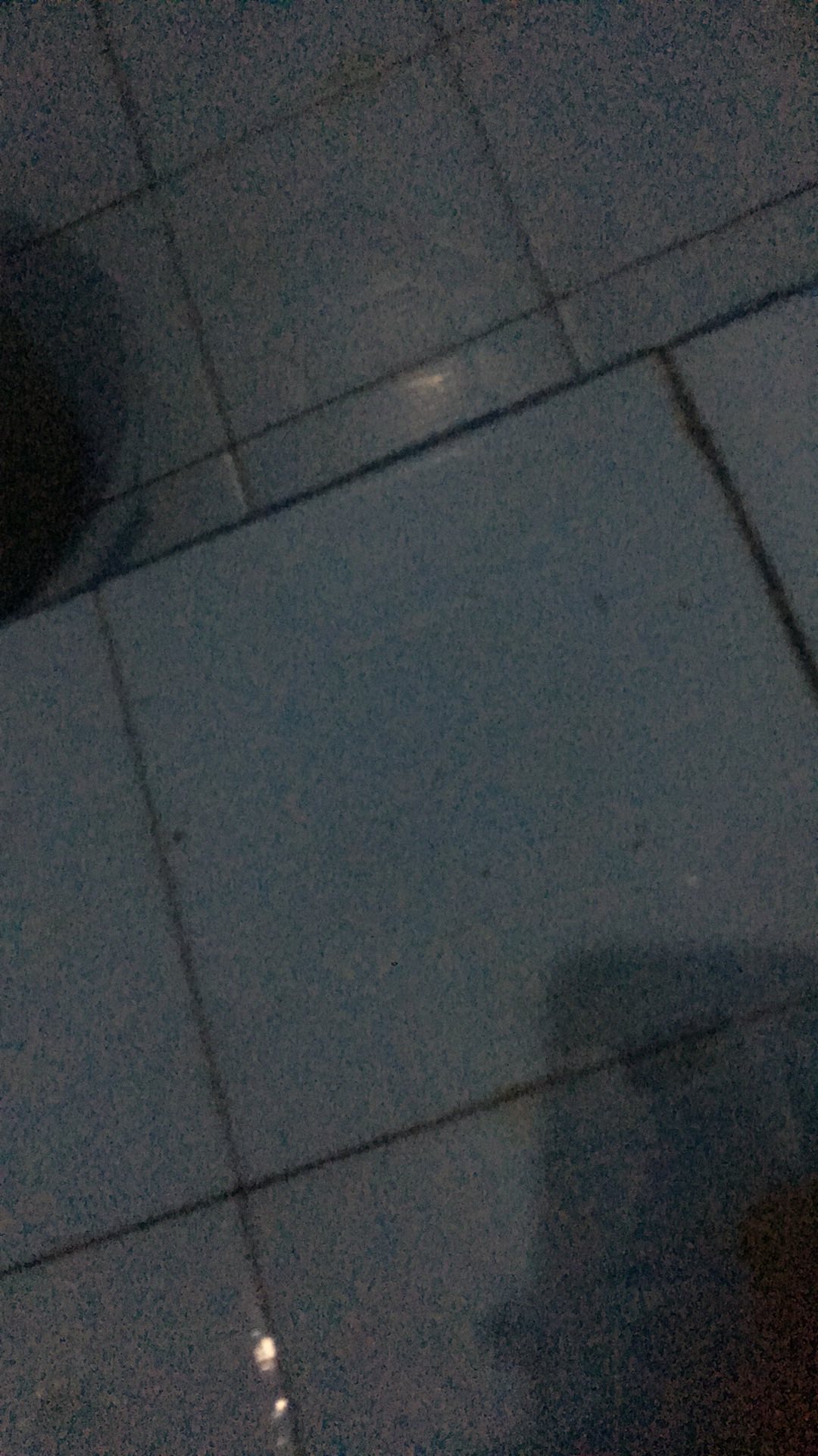 Gaspol Penghilang Dan Pembersih Kerak Toilet Kamar Mandi