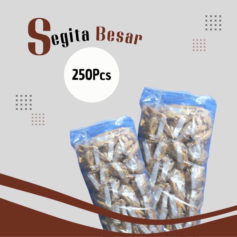 

Siomay Segitiga Besar 200 Buah (BALL)