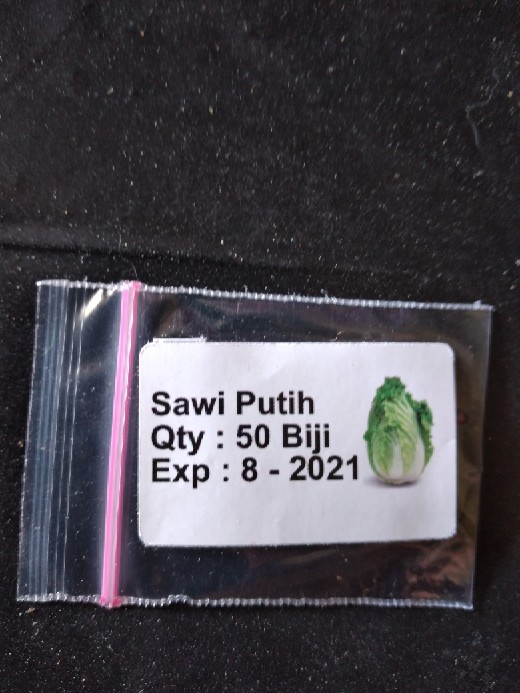 Benih Sawi Putih Hybrid F1 Chinese Cabbage 50 Biji